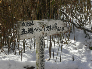 標識