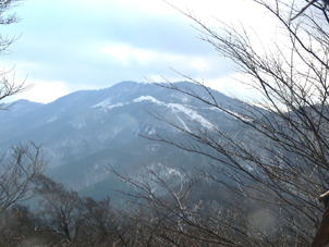 向坂山
