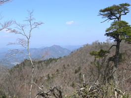 展望