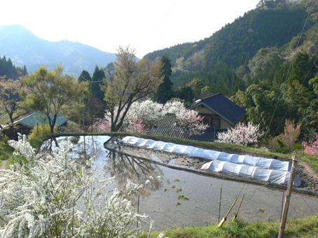 里山