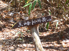 分岐点
