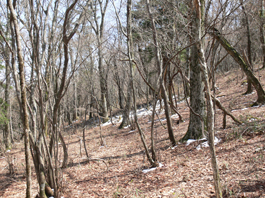 小川岳