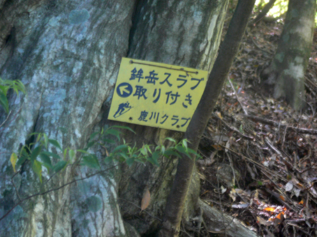登山道