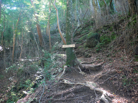 登山道
