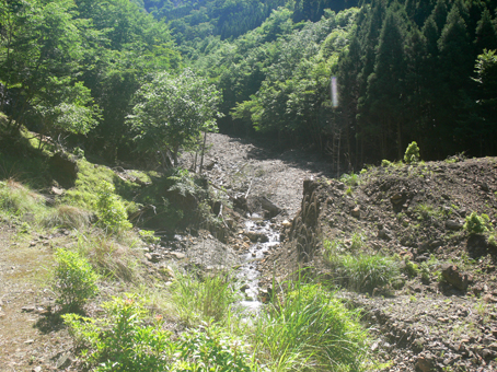 登山道