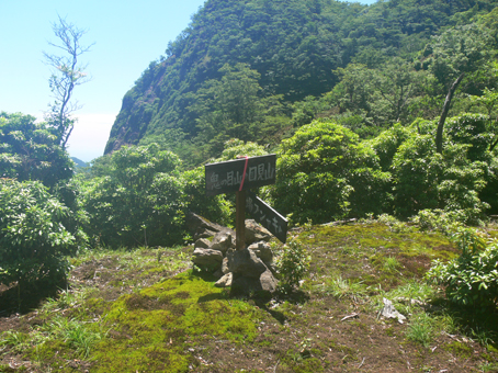 登山道