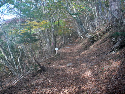 登山道