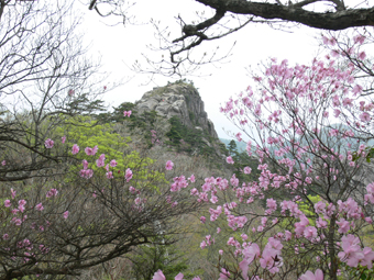 大崩山