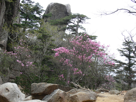 大崩山