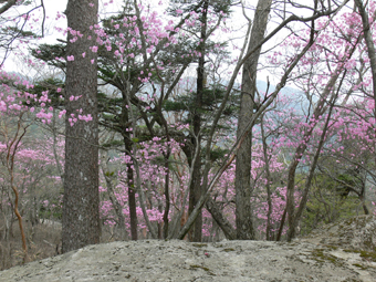 大崩山