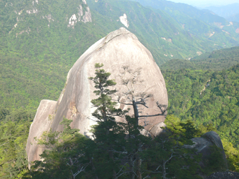 坊主岩