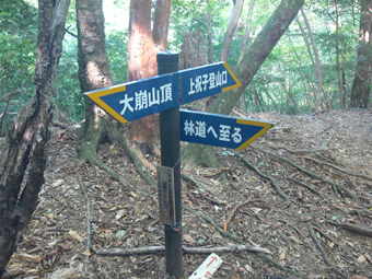 標識