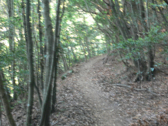 登山道