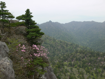 大崩山