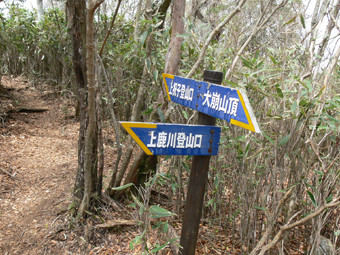 登山道