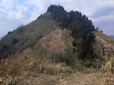 登山道