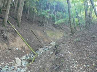 登山道