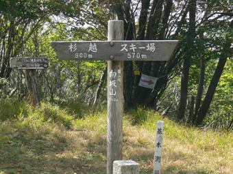 向坂山