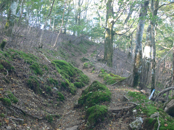 登山道