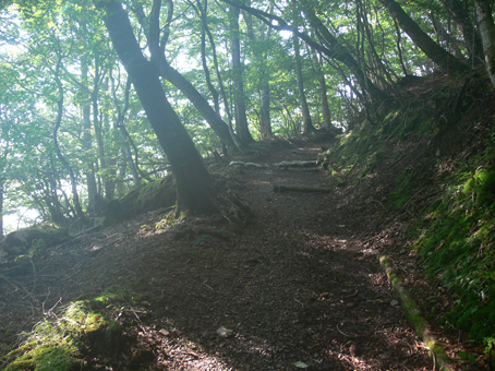 登山道