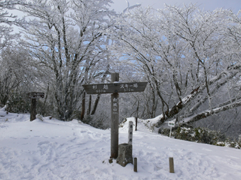 向坂山