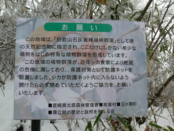 看板