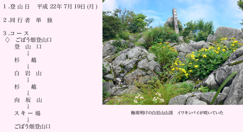 白岩山