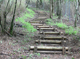 登山道