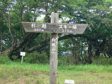 向坂山