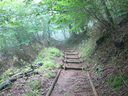 登山道