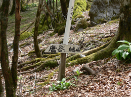 分岐点