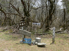 白鳥山