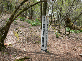 登山道