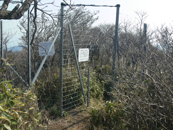 登山道
