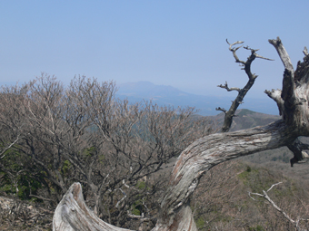 烏帽子岩