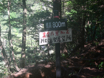 展望所