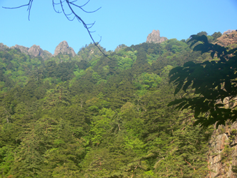 天狗岩