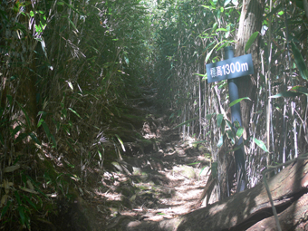 登山道