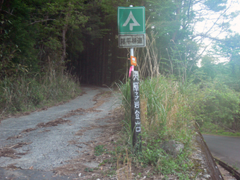 県道