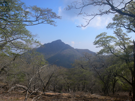 登山道