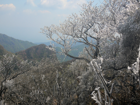 霧氷