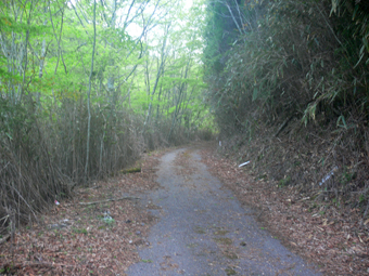 登山道