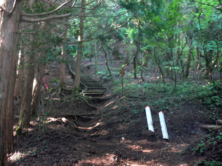 登山道