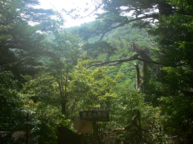 登山道