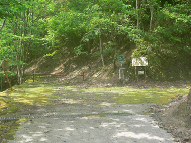 登山道