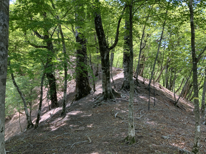 登山道