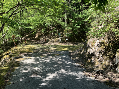 分岐点