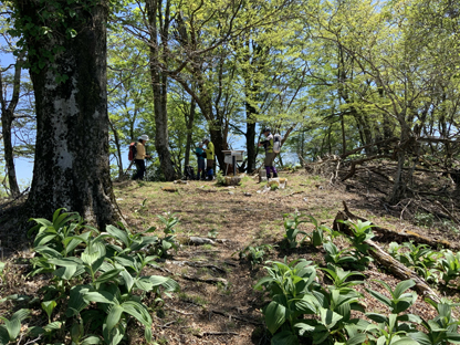 山頂