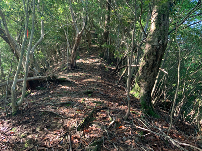 登山道