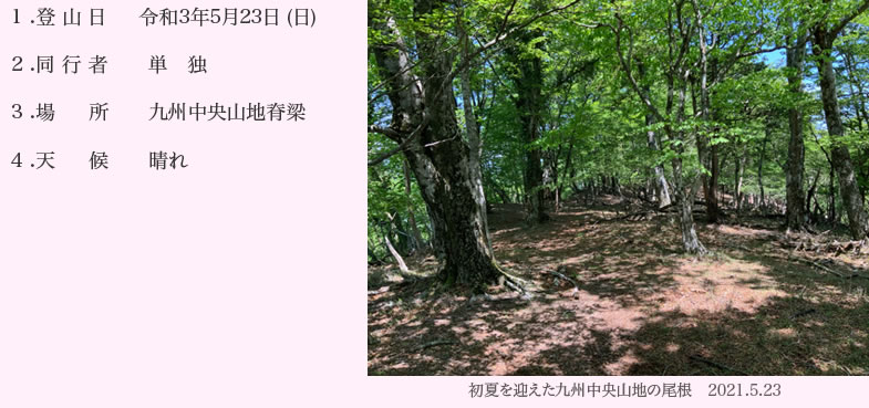 初夏を迎えた山地